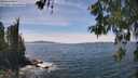 ./images/koeye/fitz-hugh/20260602/fitz-hugh20260602_144001M.jpg