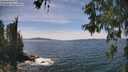 ./images/koeye/fitz-hugh/20260602/fitz-hugh20260602_144501M.jpg