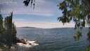 ./images/koeye/fitz-hugh/20260602/fitz-hugh20260602_145001M.jpg