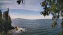 ./images/koeye/fitz-hugh/20260602/fitz-hugh20260602_145501M.jpg