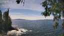 ./images/koeye/fitz-hugh/20260602/fitz-hugh20260602_150001M.jpg