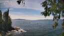 ./images/koeye/fitz-hugh/20260602/fitz-hugh20260602_150501M.jpg