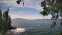 ./images/koeye/fitz-hugh/20260602/fitz-hugh20260602_151001M.jpg