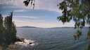 ./images/koeye/fitz-hugh/20260602/fitz-hugh20260602_151502M.jpg