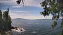./images/koeye/fitz-hugh/20260602/fitz-hugh20260602_152001M.jpg