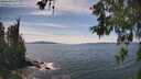 ./images/koeye/fitz-hugh/20260602/fitz-hugh20260602_152501M.jpg