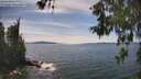 ./images/koeye/fitz-hugh/20260602/fitz-hugh20260602_153002M.jpg