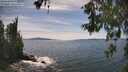 ./images/koeye/fitz-hugh/20260602/fitz-hugh20260602_153501M.jpg