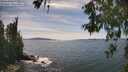 ./images/koeye/fitz-hugh/20260602/fitz-hugh20260602_154001M.jpg