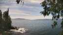 ./images/koeye/fitz-hugh/20260602/fitz-hugh20260602_154502M.jpg