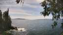./images/koeye/fitz-hugh/20260602/fitz-hugh20260602_155001M.jpg