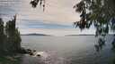 ./images/koeye/fitz-hugh/20260602/fitz-hugh20260602_162501M.jpg