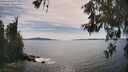 ./images/koeye/fitz-hugh/20260602/fitz-hugh20260602_163001M.jpg