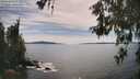 ./images/koeye/fitz-hugh/20260602/fitz-hugh20260602_163501M.jpg