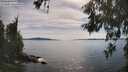 ./images/koeye/fitz-hugh/20260602/fitz-hugh20260602_171501M.jpg