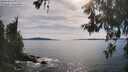 ./images/koeye/fitz-hugh/20260602/fitz-hugh20260602_172502M.jpg