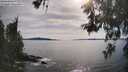 ./images/koeye/fitz-hugh/20260602/fitz-hugh20260602_173001M.jpg