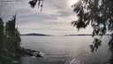 ./images/koeye/fitz-hugh/20260602/fitz-hugh20260602_174501M.jpg