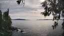 ./images/koeye/fitz-hugh/20260602/fitz-hugh20260602_175001M.jpg