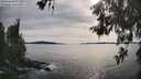 ./images/koeye/fitz-hugh/20260602/fitz-hugh20260602_175501M.jpg