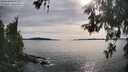./images/koeye/fitz-hugh/20260602/fitz-hugh20260602_180002M.jpg