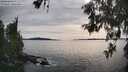 ./images/koeye/fitz-hugh/20260602/fitz-hugh20260602_180501M.jpg