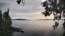 ./images/koeye/fitz-hugh/20260602/fitz-hugh20260602_181001M.jpg