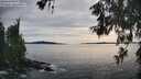 ./images/koeye/fitz-hugh/20260602/fitz-hugh20260602_181501M.jpg