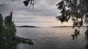 ./images/koeye/fitz-hugh/20260602/fitz-hugh20260602_182502M.jpg