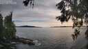 ./images/koeye/fitz-hugh/20260602/fitz-hugh20260602_185501M.jpg