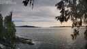./images/koeye/fitz-hugh/20260602/fitz-hugh20260602_190501M.jpg
