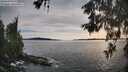 ./images/koeye/fitz-hugh/20260602/fitz-hugh20260602_191001M.jpg