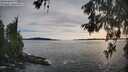 ./images/koeye/fitz-hugh/20260602/fitz-hugh20260602_191501M.jpg