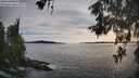 ./images/koeye/fitz-hugh/20260602/fitz-hugh20260602_192001M.jpg