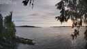 ./images/koeye/fitz-hugh/20260602/fitz-hugh20260602_192501M.jpg
