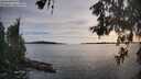 ./images/koeye/fitz-hugh/20260602/fitz-hugh20260602_193501M.jpg