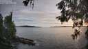 ./images/koeye/fitz-hugh/20260602/fitz-hugh20260602_194001M.jpg