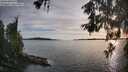./images/koeye/fitz-hugh/20260602/fitz-hugh20260602_194501M.jpg