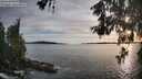 ./images/koeye/fitz-hugh/20260602/fitz-hugh20260602_195001M.jpg