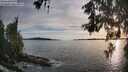 ./images/koeye/fitz-hugh/20260602/fitz-hugh20260602_195501M.jpg