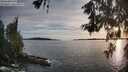 ./images/koeye/fitz-hugh/20260602/fitz-hugh20260602_200502M.jpg