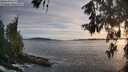 ./images/koeye/fitz-hugh/20260602/fitz-hugh20260602_202502M.jpg