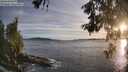 ./images/koeye/fitz-hugh/20260602/fitz-hugh20260602_203002M.jpg