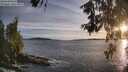 ./images/koeye/fitz-hugh/20260602/fitz-hugh20260602_203501M.jpg