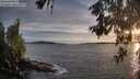 ./images/koeye/fitz-hugh/20260602/fitz-hugh20260602_204001M.jpg