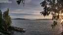 ./images/koeye/fitz-hugh/20260602/fitz-hugh20260602_204501M.jpg