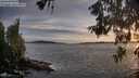 ./images/koeye/fitz-hugh/20260602/fitz-hugh20260602_205001M.jpg
