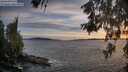 ./images/koeye/fitz-hugh/20260602/fitz-hugh20260602_210501M.jpg