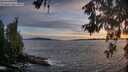./images/koeye/fitz-hugh/20260602/fitz-hugh20260602_211501M.jpg