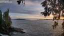 ./images/koeye/fitz-hugh/20260602/fitz-hugh20260602_212001M.jpg